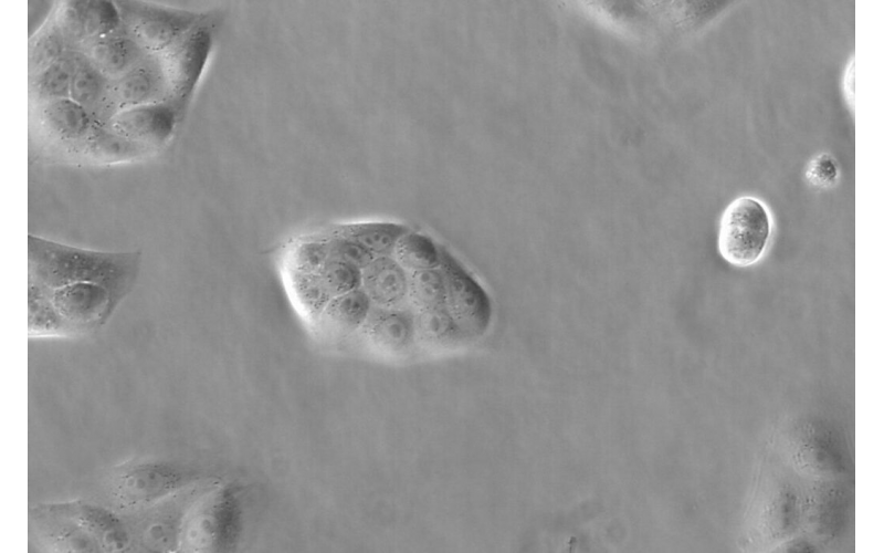 請(qǐng)上傳圖片