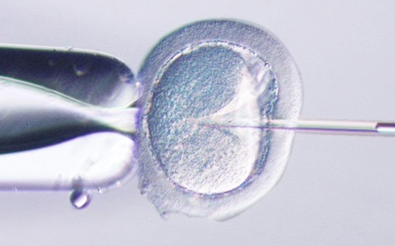 請(qǐng)上傳圖片