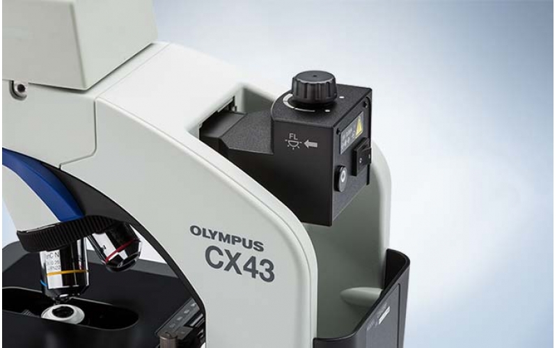 請(qǐng)上傳圖片